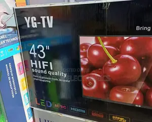 Yg Tv 43 Inch