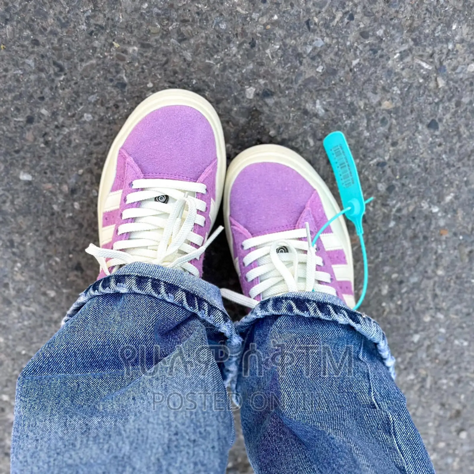 Original Adidas Bad Bunny Campus Shoes