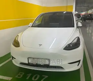 Photo - New Tesla Model Y 2023 White