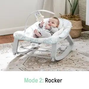 3 in 1 Newborn to Toddler Rocker