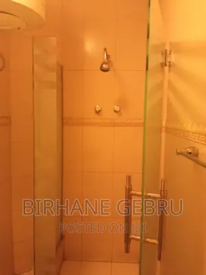 Photo - Furnished 2bdrm Apartment in Real State 2Bedroom, Bole for rent