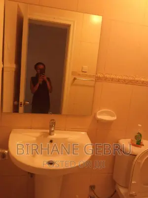 Furnished 2bdrm Apartment in Real State 2Bedroom, Bole for rent