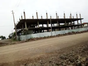 Photo - 11bdrm House in Tafo, Oromia-Finfinne for sale