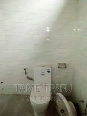 Furnished 6bdrm House in Tafo, Oromia-Finfinne for sale