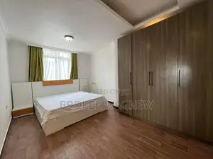Furnished 1bdrm Apartment in Bole for rent
