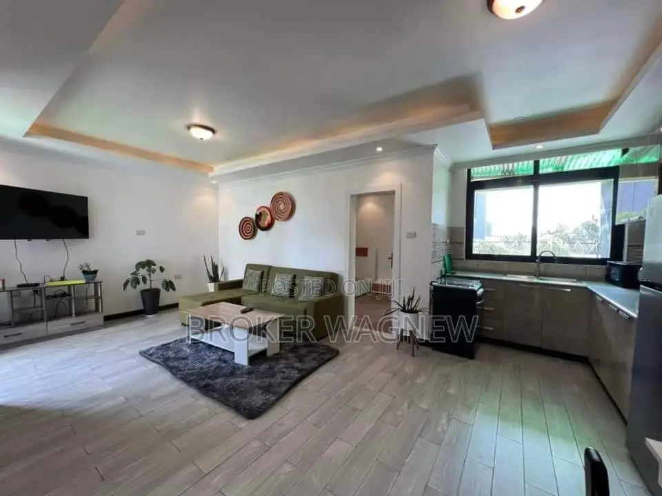Furnished 1bdrm Apartment in Bole for rent