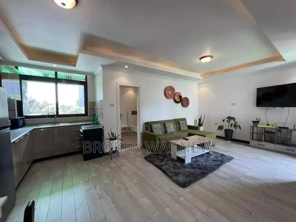 Furnished 1bdrm Apartment in Bole for rent