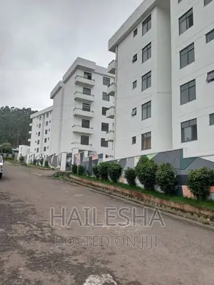 Furnished 3bdrm Apartment in Noah Realestate, Bole for sale