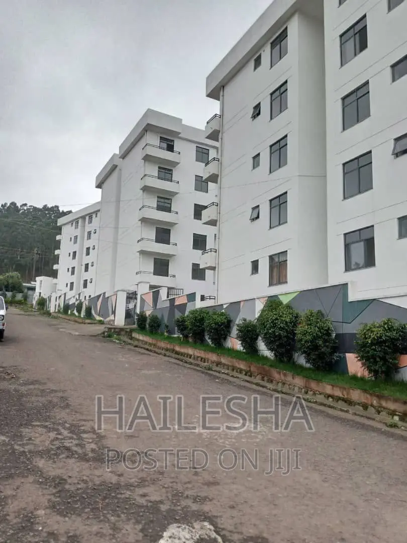 Furnished 3bdrm Apartment in Noah Realestate, Bole for sale