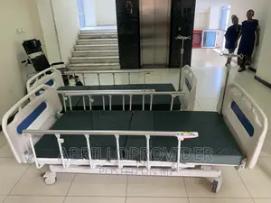 Mechanical 3 Function Hospital Care Bed With Central Locking