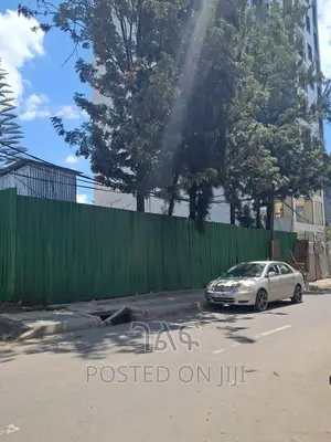 አስቸኳይ የሚሸጥ ምርጥ ቦታ  አስፓልት የያዘዉ ቲ/ላይ  ሰፈር መገናኛ