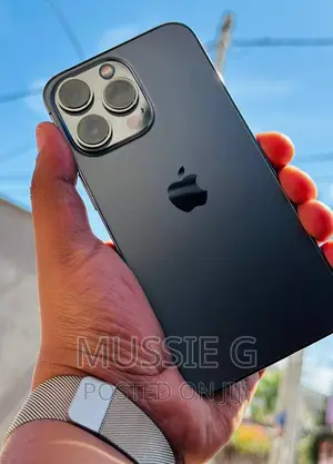 Apple iPhone 13 Pro Max 256 GB Green