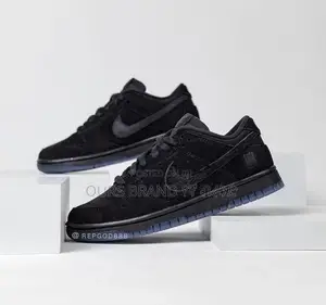 Premium Master Quality Nike Dunk