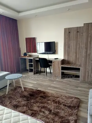 Photo - Furnished Studio Apartment in Bole for rent