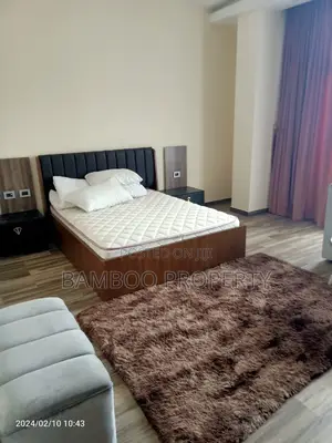 Furnished Studio Apartment in Bole for rent