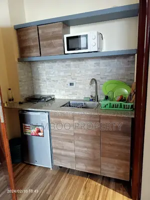 Furnished Studio Apartment in Bole for rent