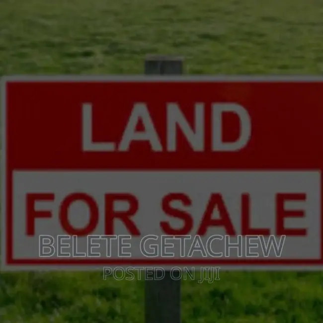 ለሪል ስቴት አልሚዎች ፡፡ 48,000 ካ.ሜ የግንባታ ቦታ