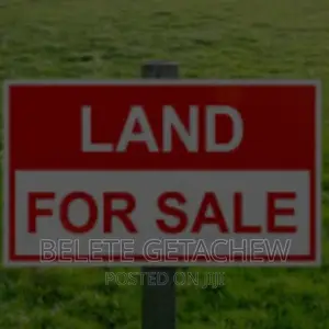 ለሪል ስቴት አልሚዎች ፡፡ 48,000 ካ.ሜ የግንባታ ቦታ