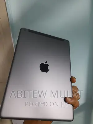 New Apple iPad Wi-Fi 256 GB Silver