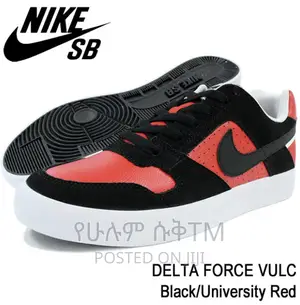 Original Nike Sb Delta Force Vulc Shoes