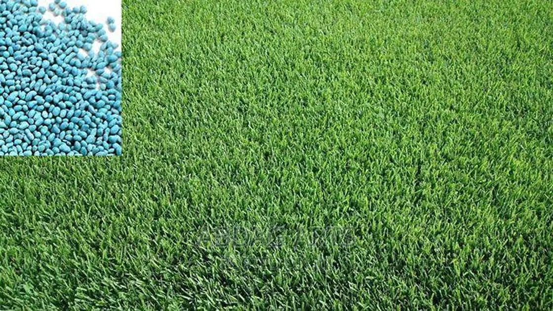 Kikuyu Grass Seed የሳር ዘር በቅናሽ
