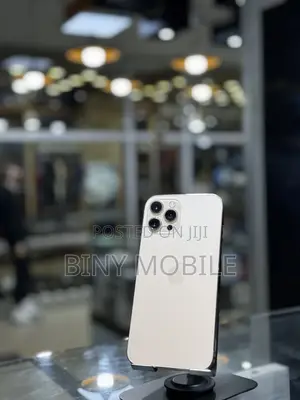 Apple iPhone 12 Pro Max 256 GB Gold