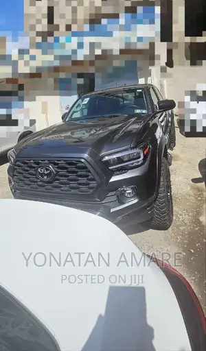 New Toyota Tacoma 2023 Gray