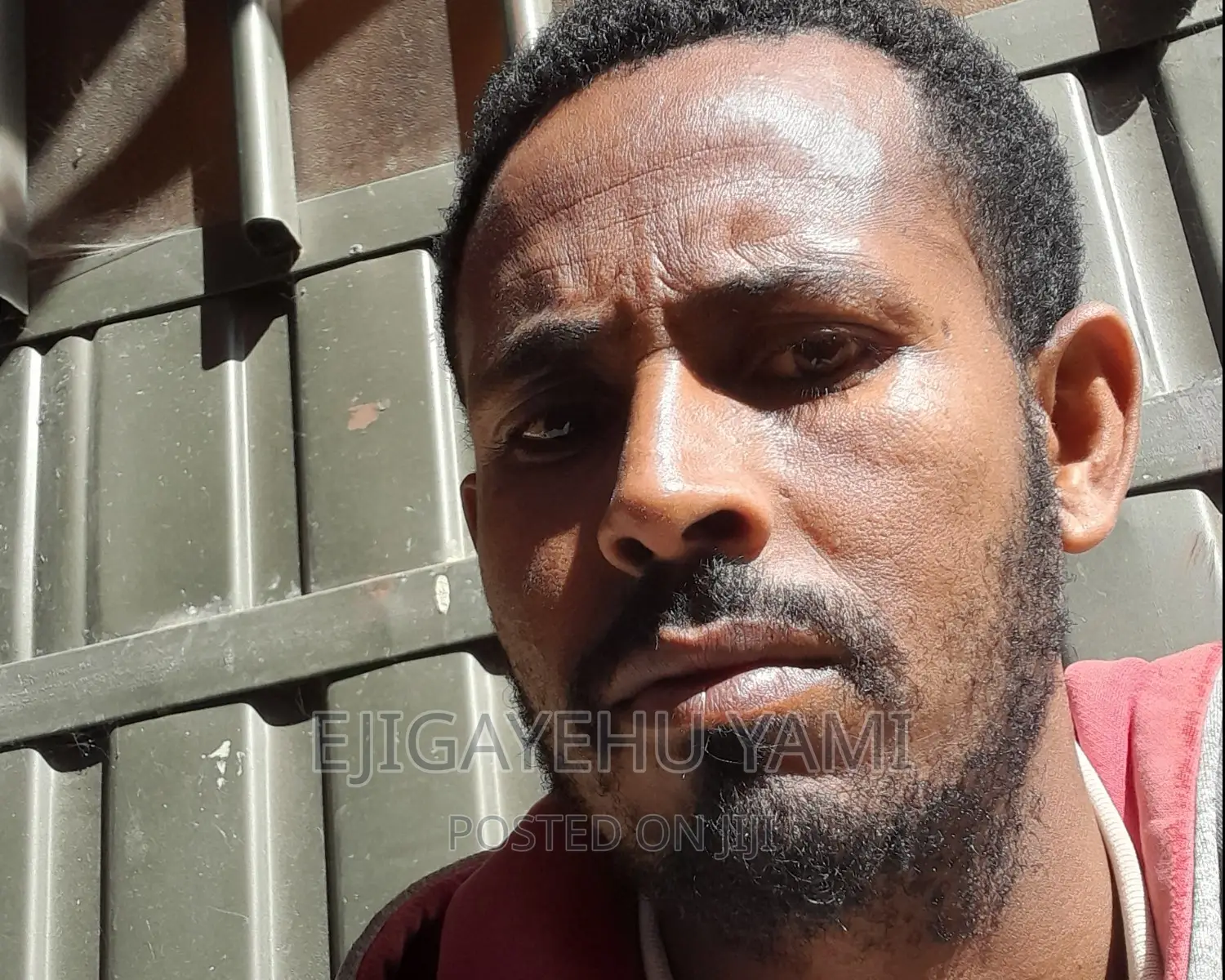 Graphic Designer and Vedio Editor