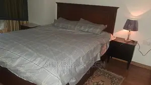 Furnished 2bdrm Apartment in Bole for rent