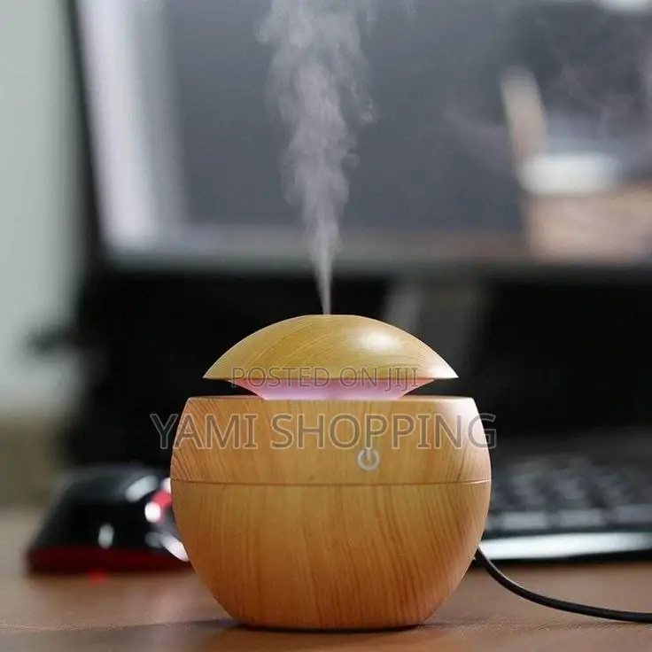 Mini Aroma Humidifier