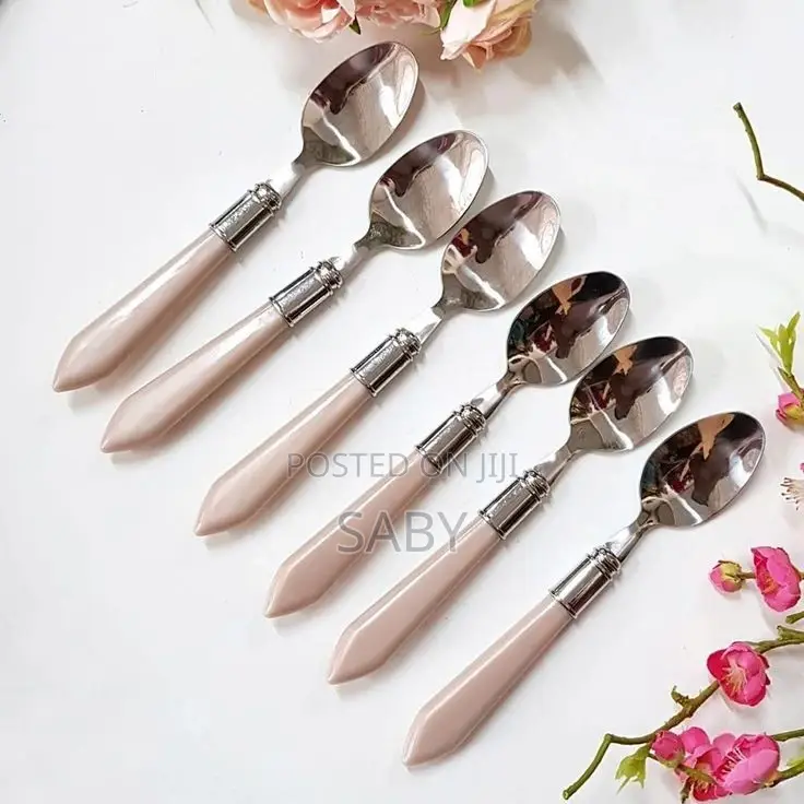 Stainless Steel 24pcs Spoon Set