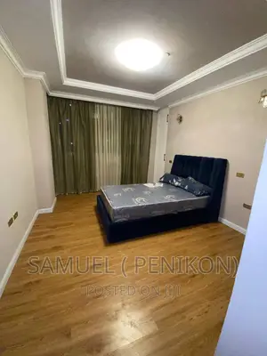 Furnished 3bdrm Apartment in Luxury Apartment, Lideta for sale