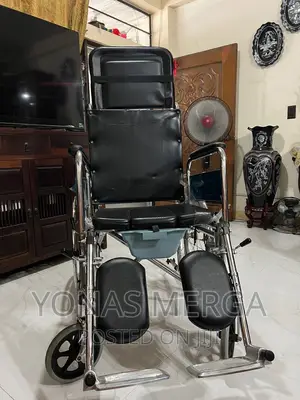 Wheelchair_reclining Backrest With a Headrest Extension