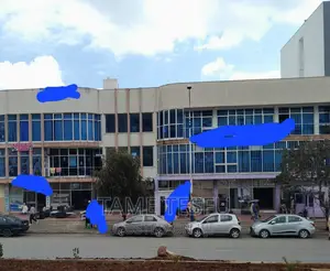 Furnished 20bdrm House in Hayat, Bole for sale