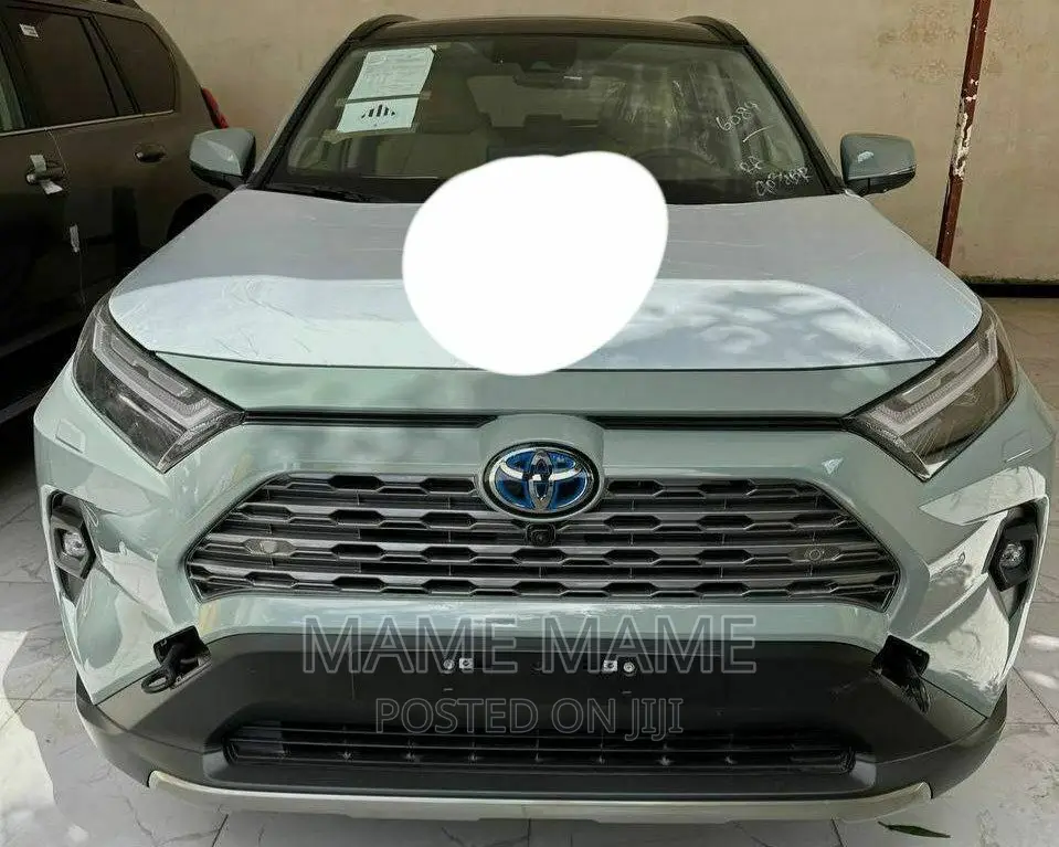 New Toyota RAV4 2023 Gray