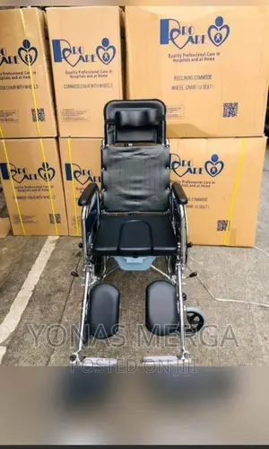 Wheelchair Has_same Design as Standard Detachable Armrest