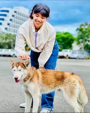 1-3 months Male Purebred Siberian Husky
