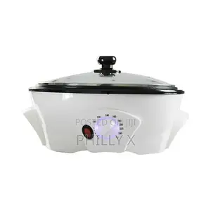 Saachi Coffee Roaster