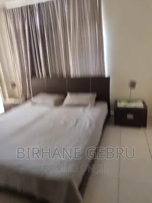 Photo - Furnished 3bdrm Apartment in Luxury Real State, Bole for rent