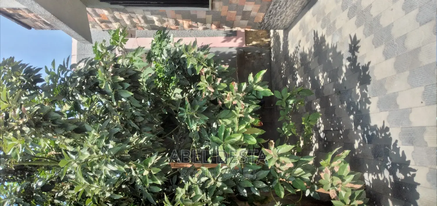 Furnished 4bdrm Villa in 04 General Hospital , Adama for rent