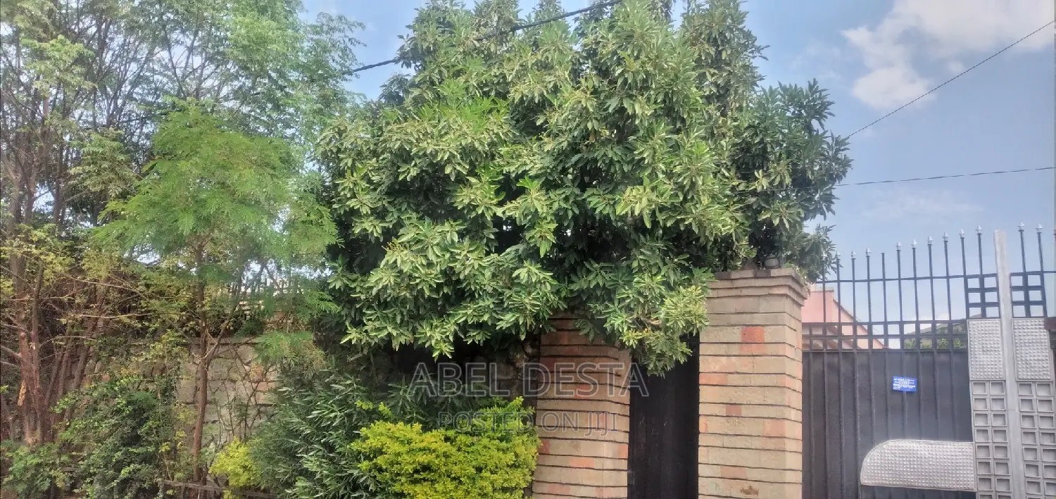 Furnished 4bdrm Villa in 04 Kebele General, Adama for rent