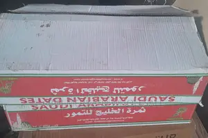 Alnur ቴምር ኦርጅነሉ