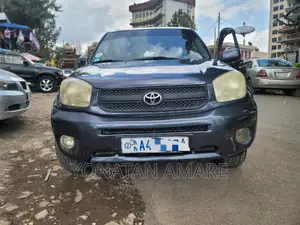 Toyota RAV4 2006 Gray