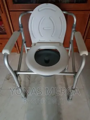 Commode /Bath Toilet Chair Lifeline Commode Chair for Sale
