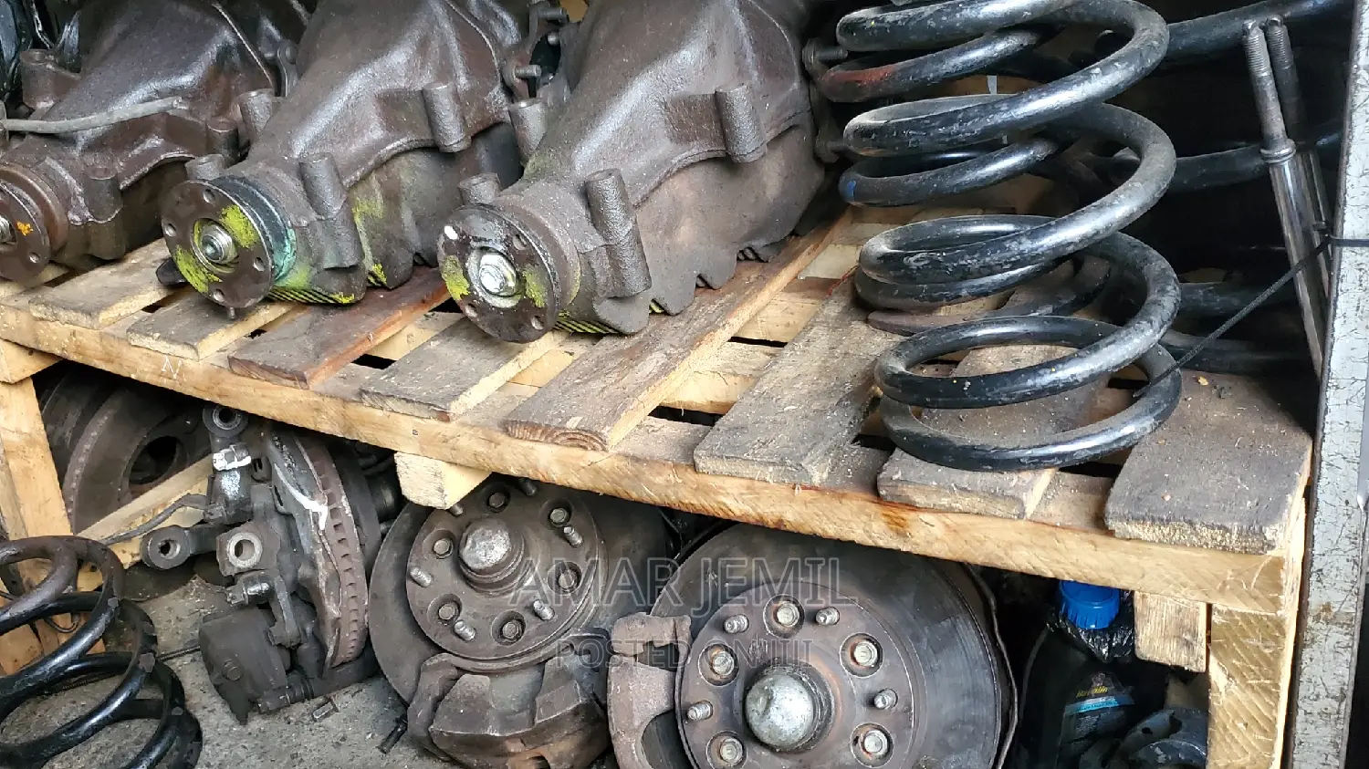 Dolphin Differential