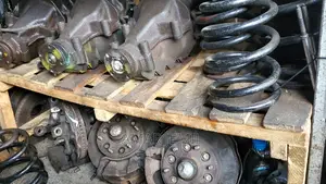 Dolphin Differential