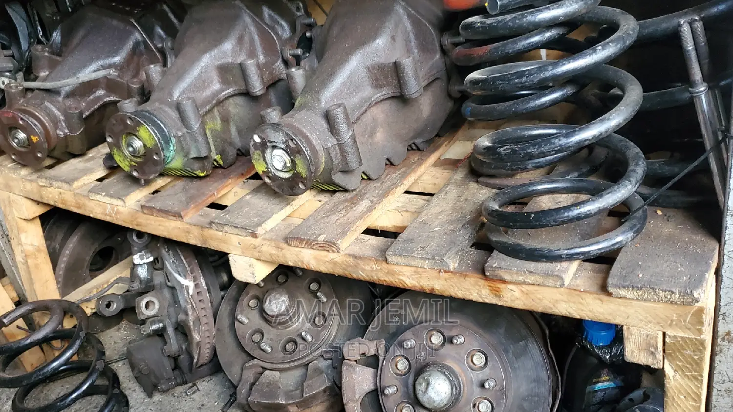 Dolphin Differential