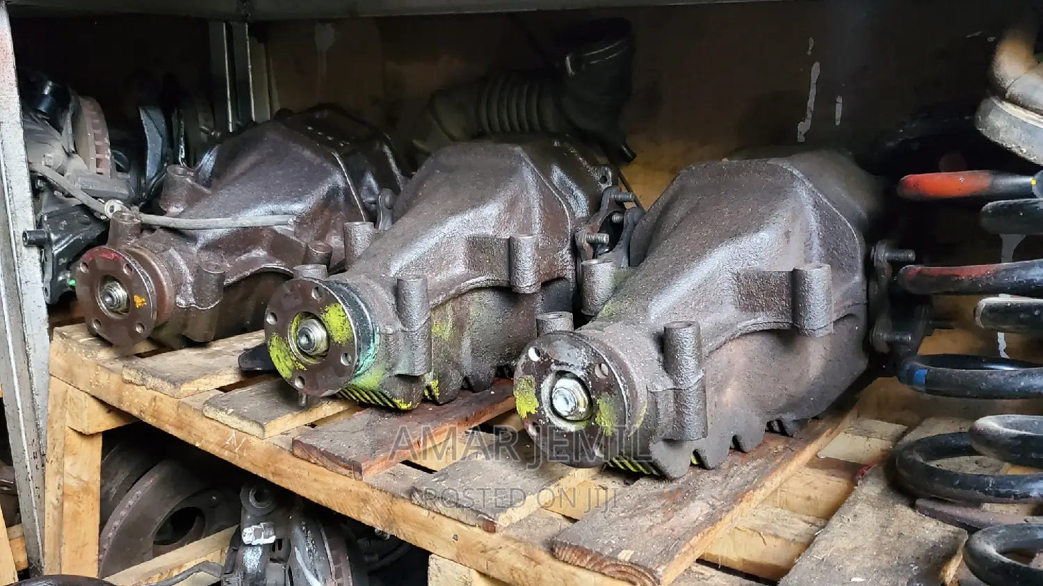 Dolphin Differential