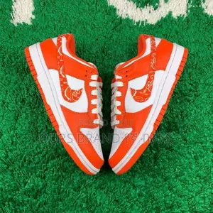 Premium Quality Nike Dunk Paisly