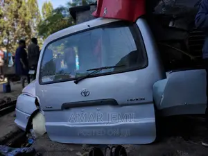 Photo - Dolphin(5L) Back Dijgi